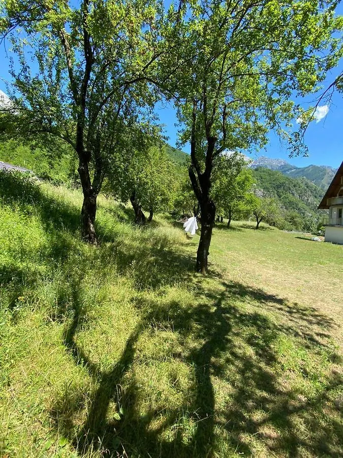 Villa Belinis Theth 0*,  Albania