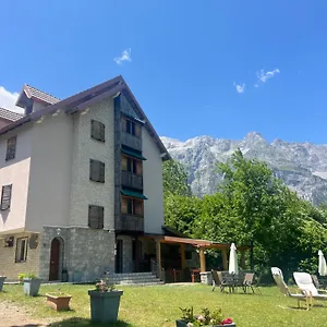 Molla Otel
